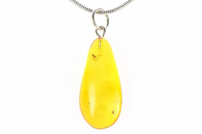 Polished Baltic Amber Pendant (Necklace) - Contains Fly! #288854